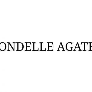 Tyre Agates/Rondelle Agates